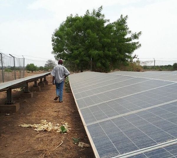 Man Walking Beside Solar Panels in the Gambia